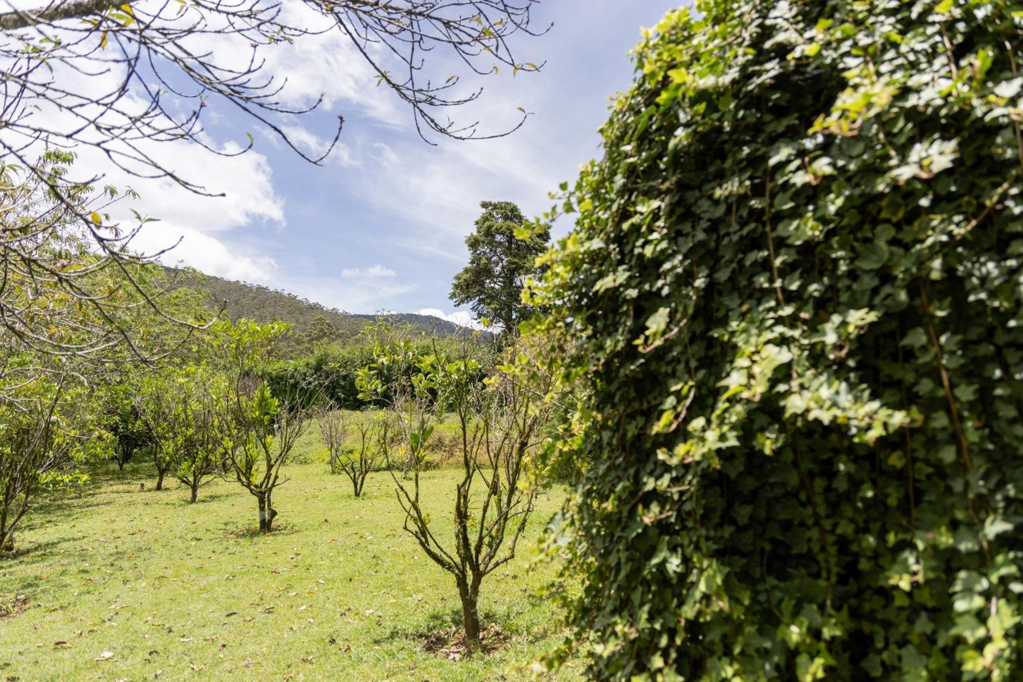 Ferncliff Bungalow Nuwara Eliya Exterior photo